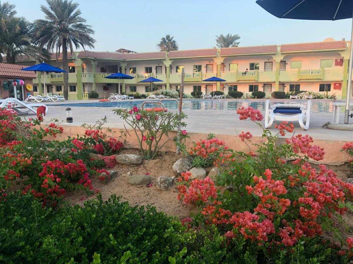 Flamingo Beach Hotel Umm al-Quwain Dış mekan fotoğraf